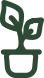 5-Plant