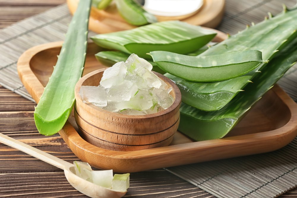 Aloe01